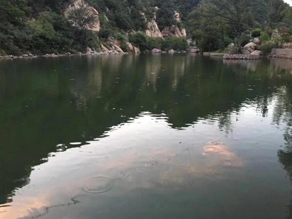 如夢令·伏牛山郊遊