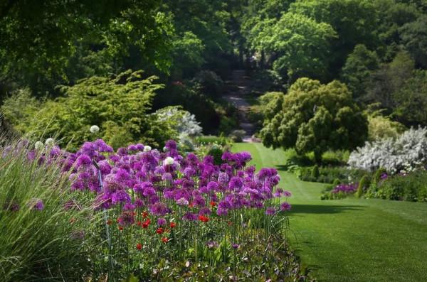 花園鑲邊，增加植物層次，豐富花園景觀