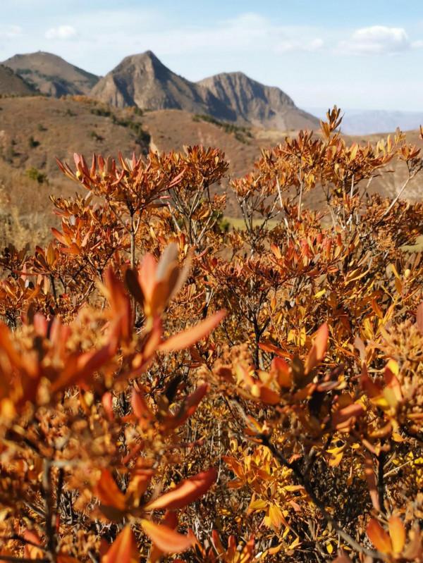 宣化紅一師老戰友遊走大明宣府青邊口，晚秋景色亦迷人