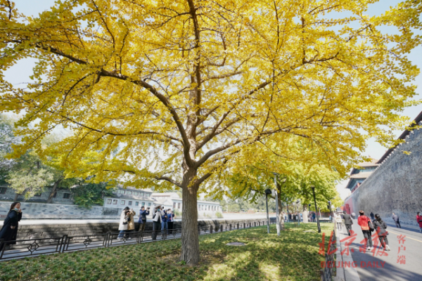 美圖｜五彩斑斕的北京，您最愛哪兒？