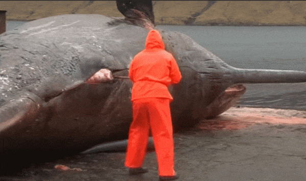 女子死後10天,為何會在墳墓裡產子?科學家揭開千年母子骸骨謎雲 女子死後10天,為何會在墳墓裡產子?科學家揭開千年母子骸骨謎雲