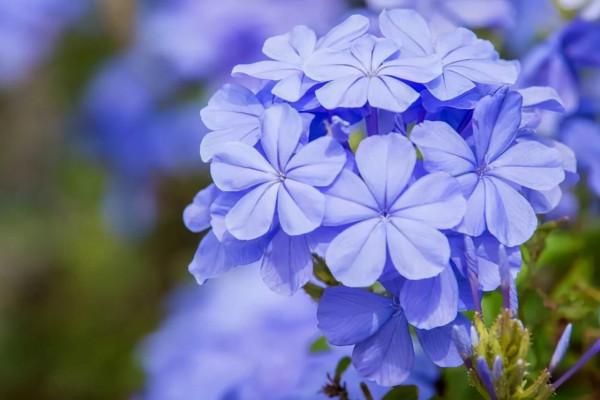 事實上,有些女人命苦,可能是自找的 事實上,有些女人命苦,可能是自找的