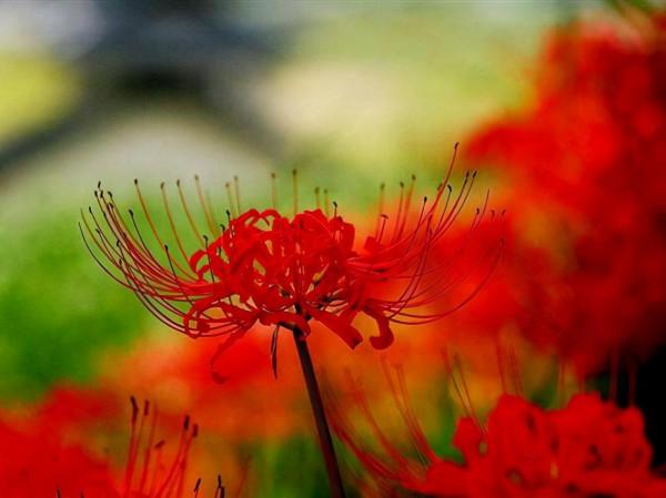 雨薇酒館|娶妻 雨薇酒館|娶妻