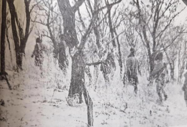 四野傳奇猛將賀晉年，剿匪專治各種不服，百年匪患，一舉蕩平