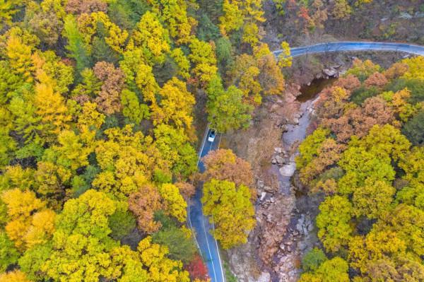 白雲山進入賞秋最佳時，提醒您一定做好個人防護