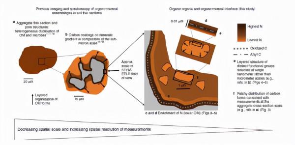 文獻解讀｜奈米尺度下土壤有機-有機和有機-礦物介面