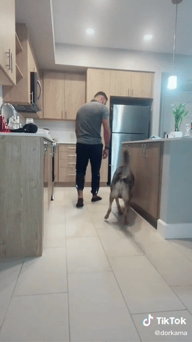 警犬退役後情緒很低落,鏟屎官靈機一動,陪它演了一齣戲 警犬退役後情緒很低落,鏟屎官靈機一動,陪它演了一齣戲