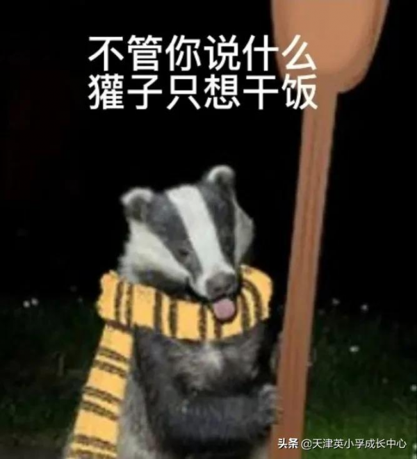 《哈利波特》為什麼能火20年？孩子成長最珍貴的品質，就藏在這裡