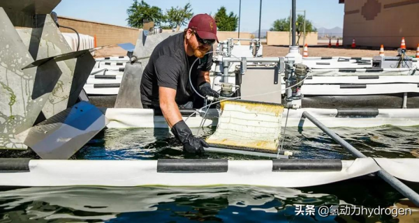 減碳養藻？汙水廠碳中和轉型新出路