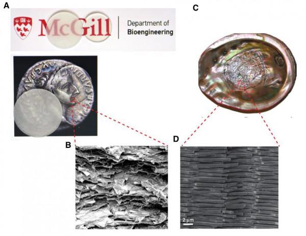 新型“牢不可破的玻璃”,強度提高 3 倍,抗裂性提高 5 倍 新型“牢不可破的玻璃”,強度提高 3 倍,抗裂性提高 5 倍