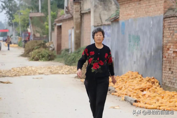 這才是真實的十月鄉村，純樸而美好，看後彷彿回了一次老家