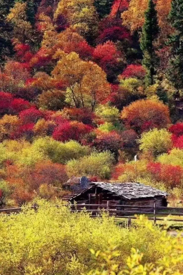 讀劉禹錫《秋風引》•唐 讀劉禹錫《秋風引》•唐