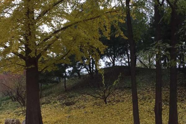 蔣勳先生品讀的《紅樓夢》跟我看的是同一本嗎？