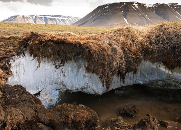 北極“深坑”越來越大,釋放大量遠古氣體,專家提醒世人要警惕 北極“深坑”越來越大,釋放大量遠古氣體,專家提醒世人要警惕