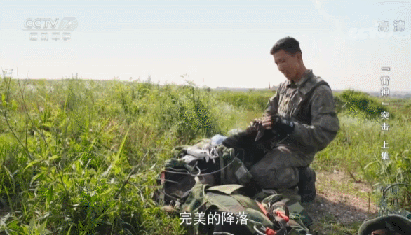 軍犬5000米高空跳傘，一臉淡定，網友：這是哮天犬吧