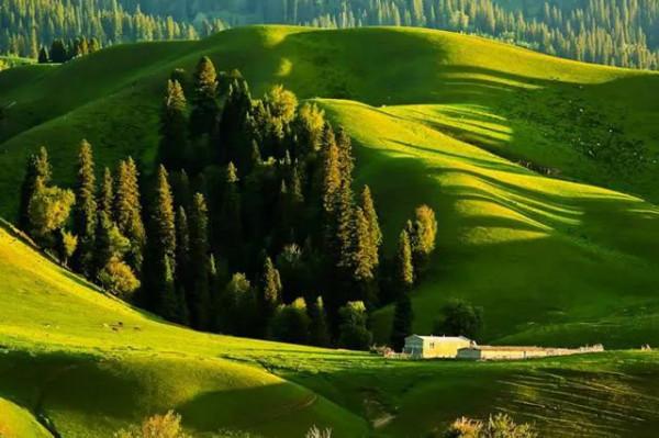 分享圖片——新疆那拉提草原