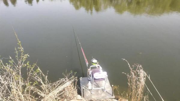 大師推薦0.3號子線釣3斤多鯉魚！釣魚人：你在考驗我智商？