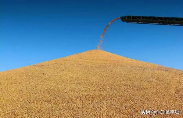 能源危機後遺症，糧價將暴漲？全球陷糧食危機，中國能否應對？