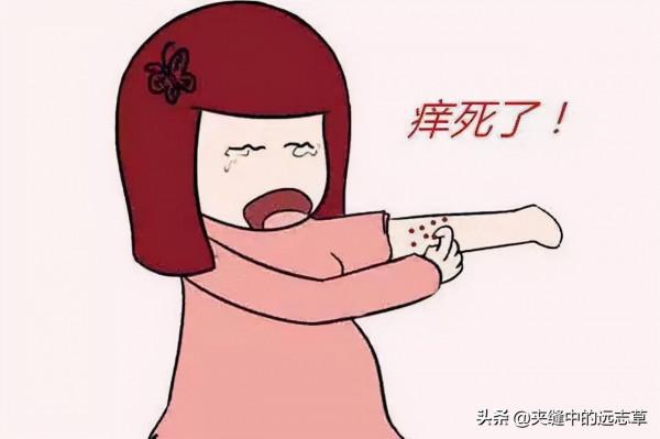 風疹、溼症？送你一劑消風散，祛風止癢、清熱燥溼，兼可養血