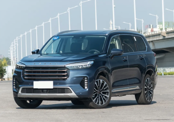 車300：為國產車爭光的5個品牌！紅旗在日本開店，吉利在韓國建廠