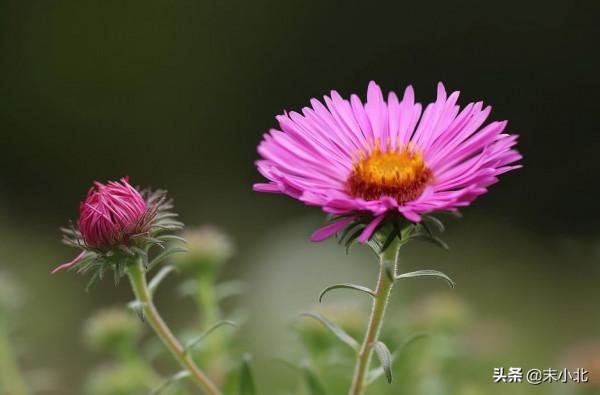 有一種幸運叫:認識你真好 有一種幸運叫:認識你真好