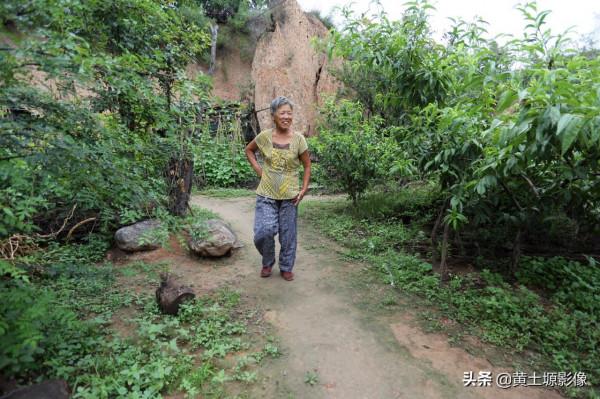 孫子回農村老家過暑假，家裡的雞見了他都害怕，看他都幹了些啥