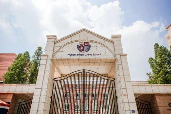 湖北一女孩被世界名校提前錄取，獲得133萬獎學金，繪畫水平不低