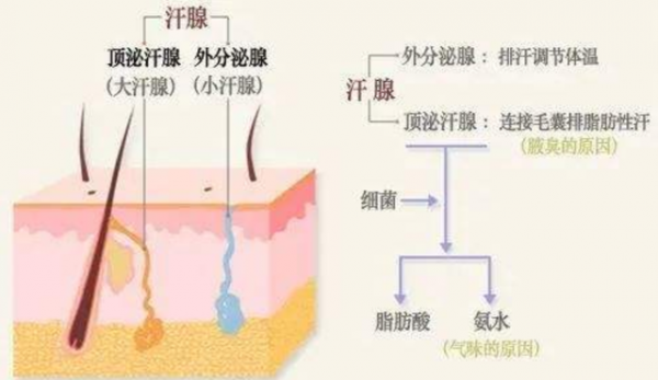 從科學角度分析,凍死和熱死,哪一種更好受一些? 從科學角度分析,凍死和熱死,哪一種更好受一些?