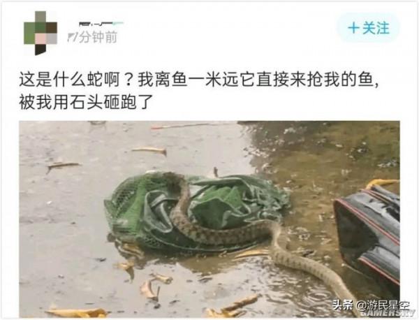 釣魚吧老哥,除了釣魚啥都會 釣魚吧老哥,除了釣魚啥都會