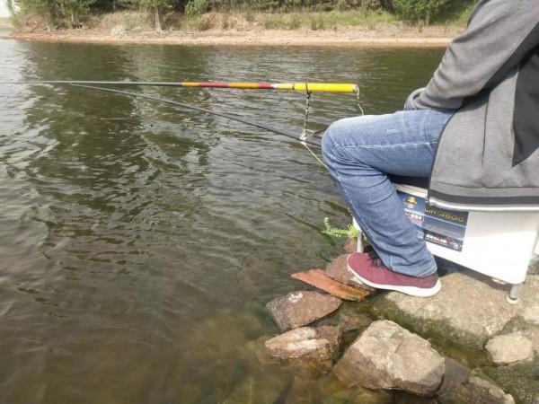 大師推薦0.3號子線釣3斤多鯉魚！釣魚人：你在考驗我智商？