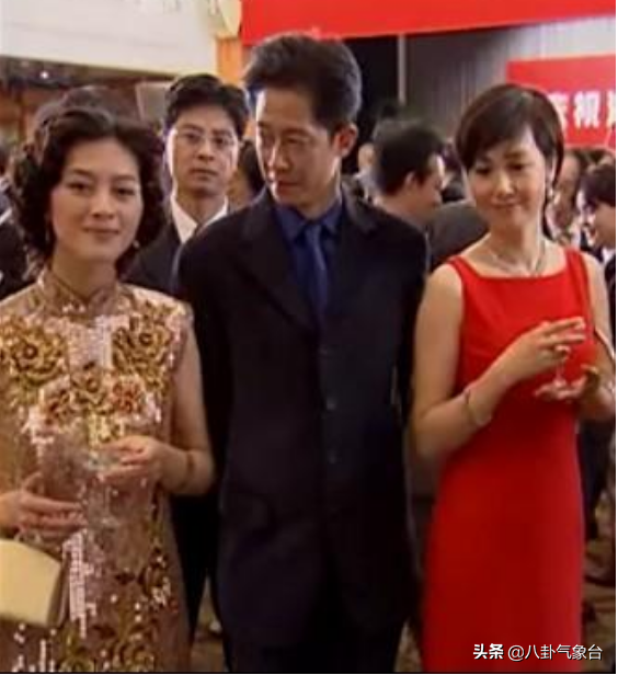 王志文的緋聞女友，守寡６年成隱形富婆，田海蓉的人生不簡單