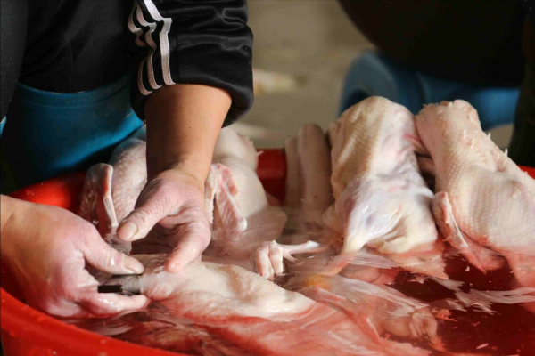 數九過寒冬,“3樣”美食要提前備好,待客用得著,別不當回事 數九過寒冬,“3樣”美食要提前備好,待客用得著,別不當回事