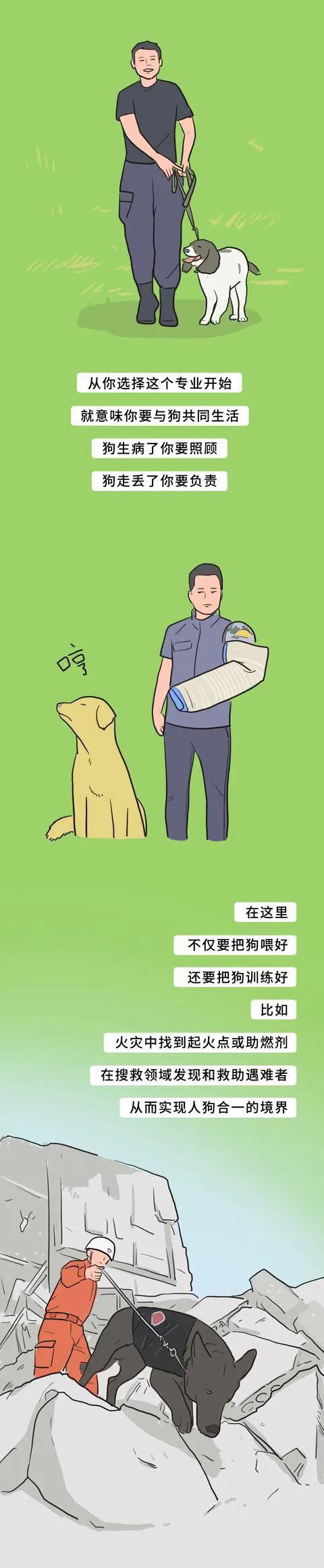 漫畫:大學“冷門專業”,你聽過幾個? 漫畫:大學“冷門專業”,你聽過幾個?