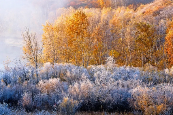 讀劉禹錫《秋風引》•唐 讀劉禹錫《秋風引》•唐