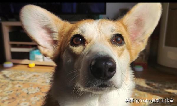 第一次買電腦，應該關心的6個配置！哪種電腦不能買？