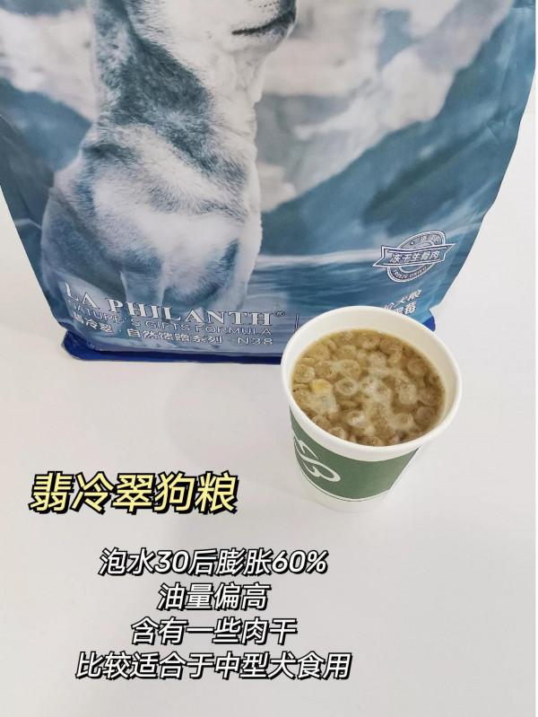 泡水居然可以讓狗糧自動呈現好壞很多時候都在為狗糧的好壞而煩惱