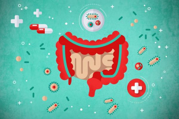 腸道不好為什麼容易引發一身病?(4):腸道菌群失調 腸道不好為什麼容易引發一身病?(4):腸道菌群失調