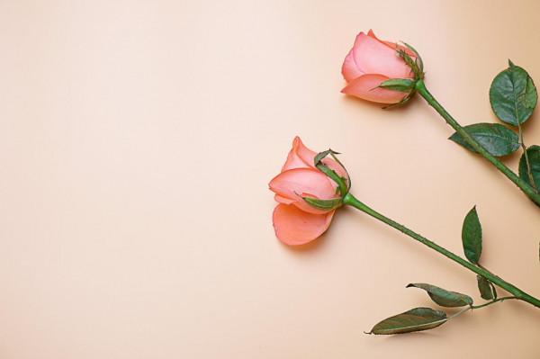 女人,人生下半場,要“取悅”自己 女人,人生下半場,要“取悅”自己