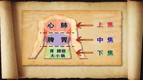 頭暈耳鳴，發熱失眠，你認為是陰虛火旺就錯了