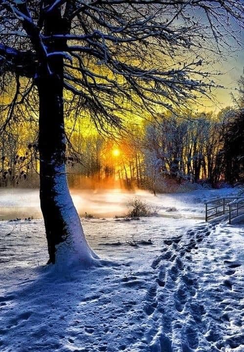 分享白雪皚皚的雪景，銀裝素裹，美景如畫