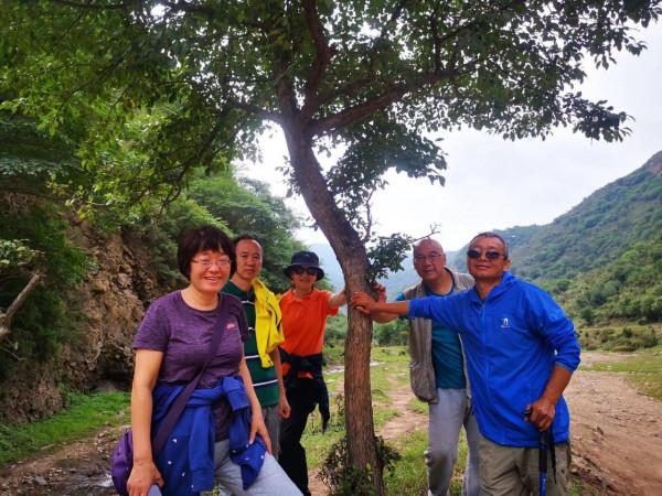 悠悠林海 歲歲情緣