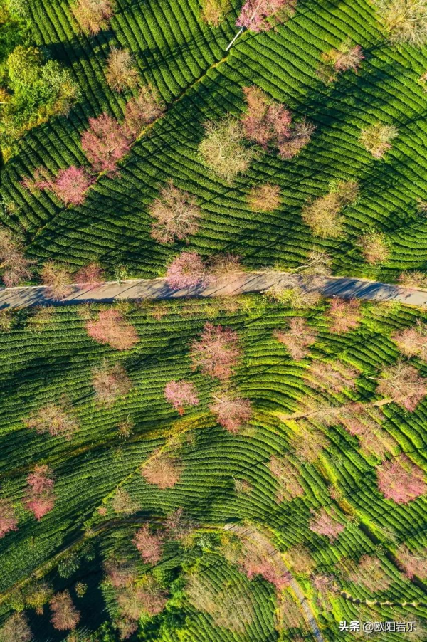 國內一生必打卡的20個地方，去過8個才算及格，你去過幾個呢？