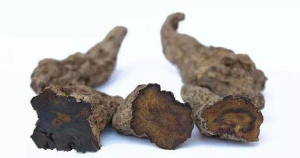 秋燥易生口舌瘡,中醫教你食療方 秋燥易生口舌瘡,中醫教你食療方