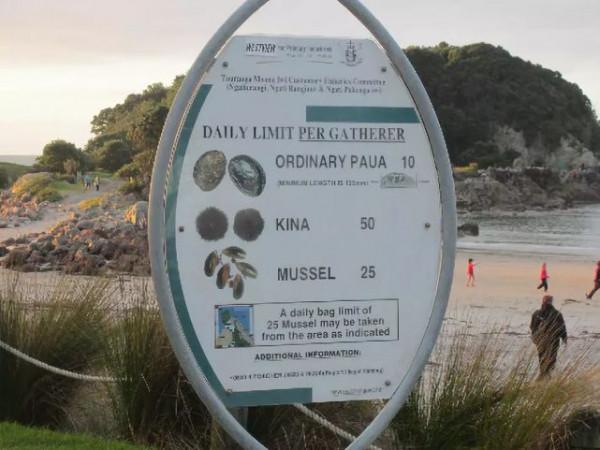 一早上撿了20萬的鮑魚~雖然免費撿,但這也太過分了……(二) 一早上撿了20萬的鮑魚~雖然免費撿,但這也太過分了……(二)