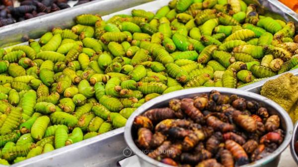 全國秋天神仙菜市場大賞 全國秋天神仙菜市場大賞