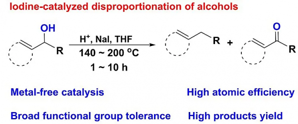 南昌大學楊維冉教授課題組碘催化最新研究工作概覽