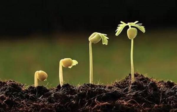 到底什麼東西來決定我們的健康和成長呢? 到底什麼東西來決定我們的健康和成長呢?