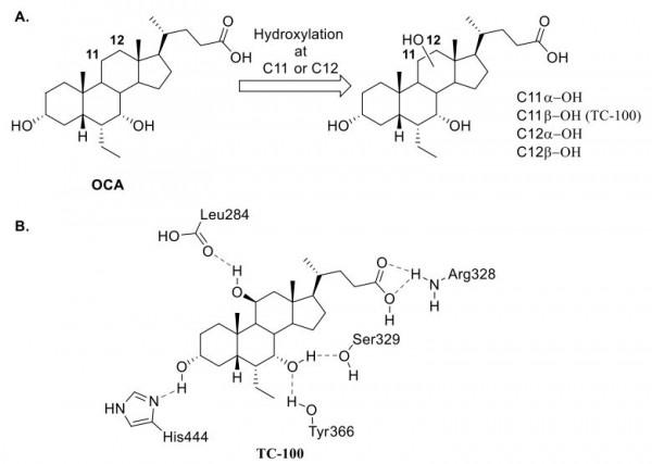 藥物發現&boxv;靶向Farnesoid X受體的藥物開發