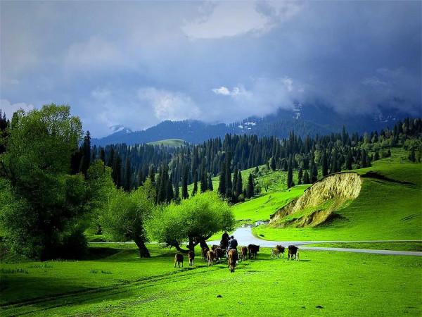 新疆那拉提草原風光 新疆那拉提草原風光