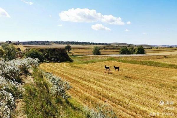 山西,讓我一次愛個夠之三——長城(大河堡到二道梁)古城與中秋 山西,讓我一次愛個夠之三——長城(大河堡到二道梁)古城與中秋